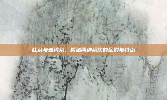 红茶与普洱茶，揭秘两种茶饮的区别与特点