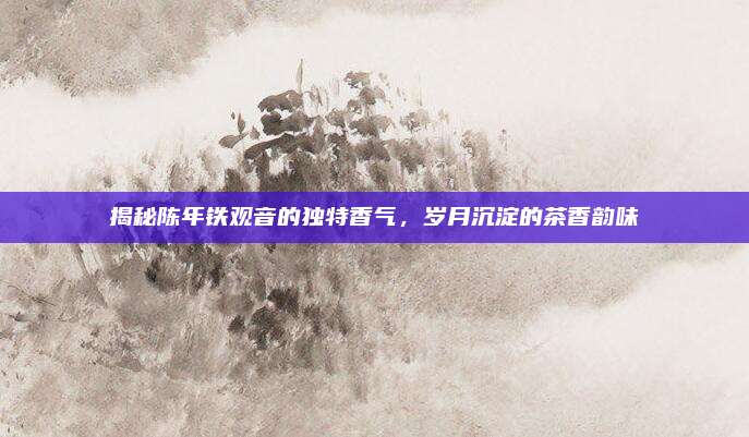 揭秘陈年铁观音的独特香气，岁月沉淀的茶香韵味