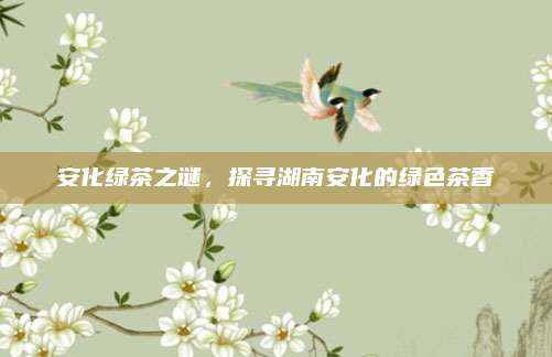 安化绿茶之谜，探寻湖南安化的绿色茶香