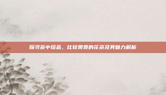 探寻茶中珍品，比较奥贵的花茶及其魅力解析