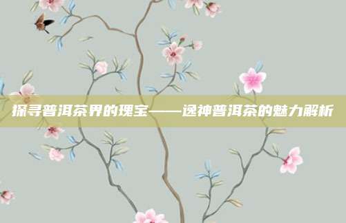 探寻普洱茶界的瑰宝——逸神普洱茶的魅力解析