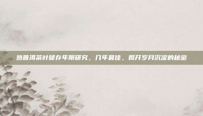 熟普洱茶叶储存年限研究，几年最佳，揭开岁月沉淀的秘密