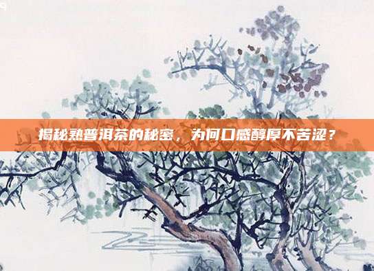 揭秘熟普洱茶的秘密，为何口感醇厚不苦涩？