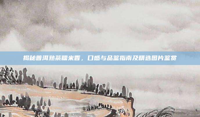 揭秘普洱熟茶糯米香，口感与品鉴指南及精选图片鉴赏