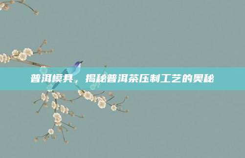 普洱模具，揭秘普洱茶压制工艺的奥秘