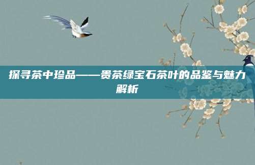 探寻茶中珍品——贵茶绿宝石茶叶的品鉴与魅力解析