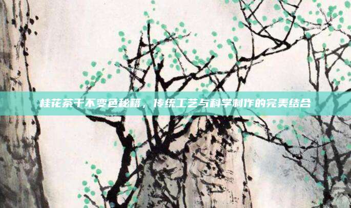 桂花茶干不变色秘籍，传统工艺与科学制作的完美结合