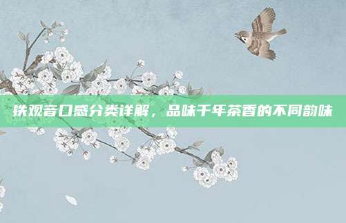 铁观音口感分类详解，品味千年茶香的不同韵味