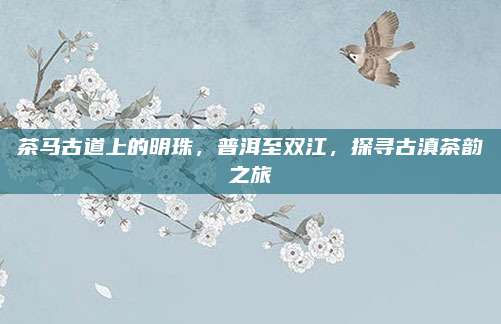 茶马古道上的明珠，普洱至双江，探寻古滇茶韵之旅