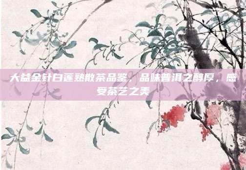 大益金针白莲熟散茶品鉴，品味普洱之醇厚，感受茶艺之美