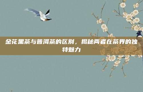 金花黑茶与普洱茶的区别，揭秘两者在茶界的独特魅力