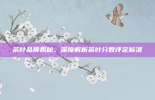 茶叶品质揭秘，深度解析茶叶分数评定标准
