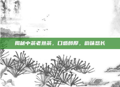 揭秘中茶老熟茶，口感醇厚，韵味悠长