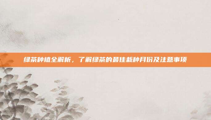 绿茶种植全解析，了解绿茶的最佳栽种月份及注意事项