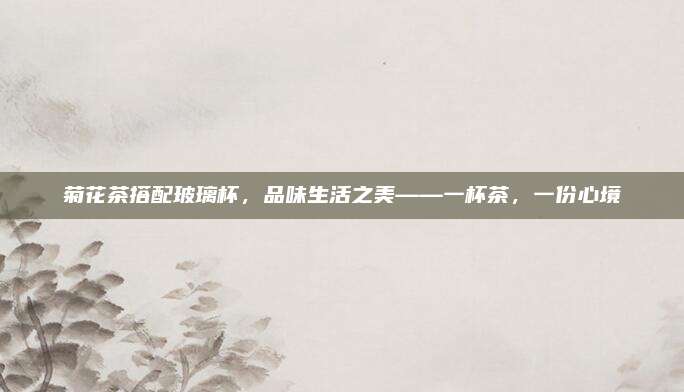 菊花茶搭配玻璃杯，品味生活之美——一杯茶，一份心境