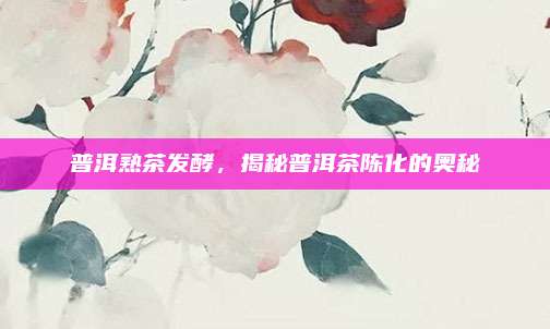 普洱熟茶发酵，揭秘普洱茶陈化的奥秘