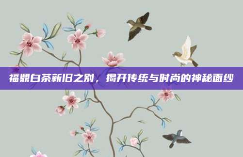 福鼎白茶新旧之别，揭开传统与时尚的神秘面纱