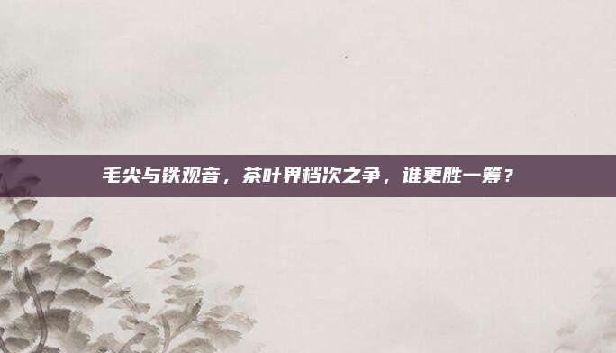 毛尖与铁观音，茶叶界档次之争，谁更胜一筹？