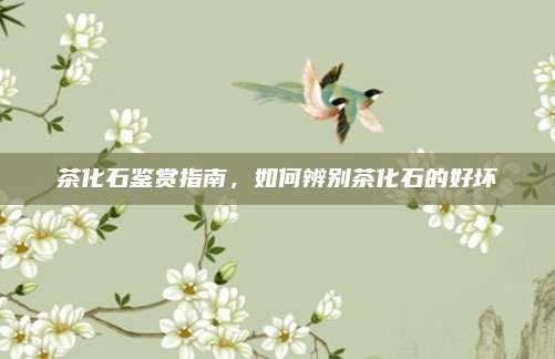茶化石鉴赏指南，如何辨别茶化石的好坏