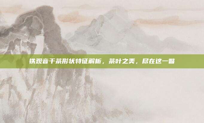 铁观音干茶形状特征解析，茶叶之美，尽在这一瞥