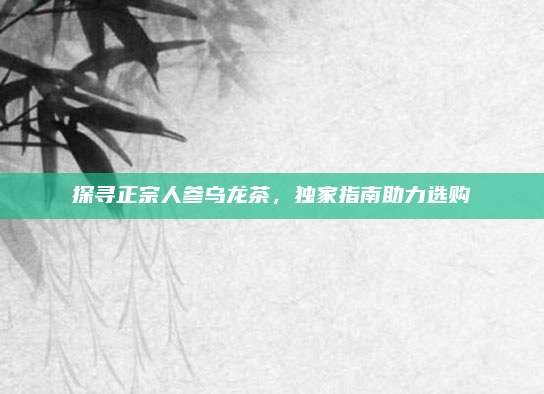 探寻正宗人参乌龙茶，独家指南助力选购