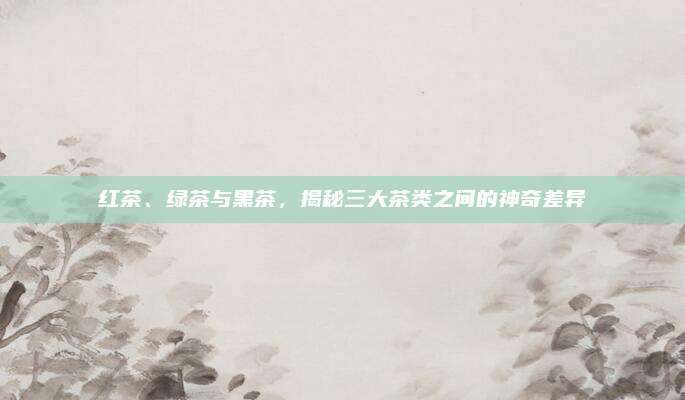 红茶、绿茶与黑茶，揭秘三大茶类之间的神奇差异