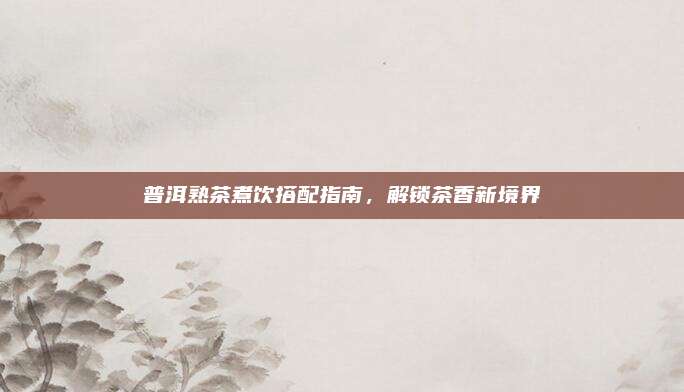 普洱熟茶煮饮搭配指南，解锁茶香新境界