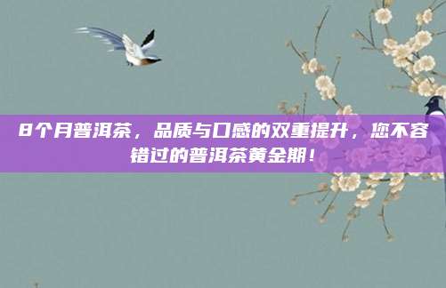 8个月普洱茶，品质与口感的双重提升，您不容错过的普洱茶黄金期！