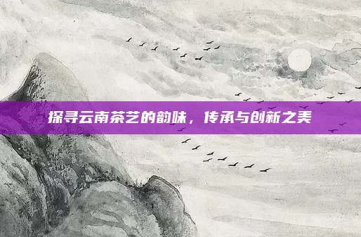 探寻云南茶艺的韵味，传承与创新之美