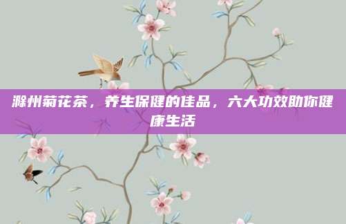 滁州菊花茶，养生保健的佳品，六大功效助你健康生活