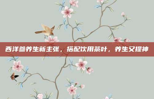 西洋参养生新主张，搭配饮用茶叶，养生又提神