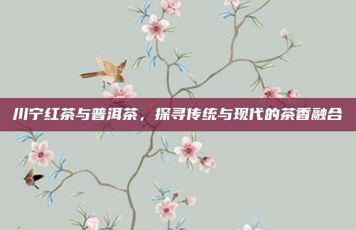 川宁红茶与普洱茶，探寻传统与现代的茶香融合
