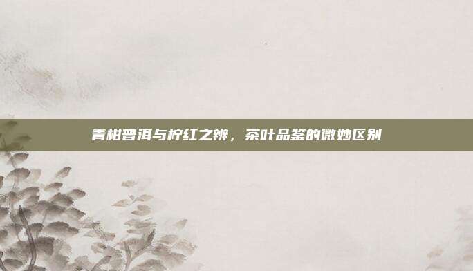 青柑普洱与柠红之辨，茶叶品鉴的微妙区别