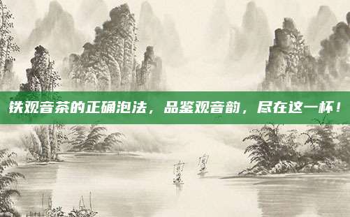 铁观音茶的正确泡法，品鉴观音韵，尽在这一杯！