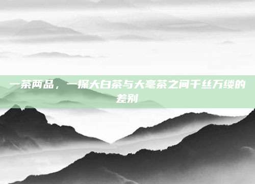 一茶两品，一探大白茶与大毫茶之间千丝万缕的差别