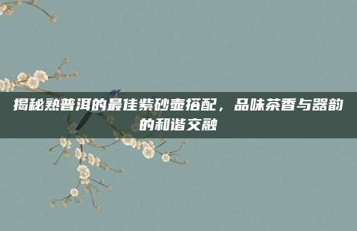 揭秘熟普洱的最佳紫砂壶搭配，品味茶香与器韵的和谐交融