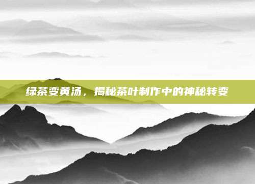 绿茶变黄汤，揭秘茶叶制作中的神秘转变