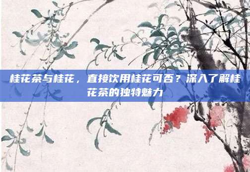 桂花茶与桂花，直接饮用桂花可否？深入了解桂花茶的独特魅力