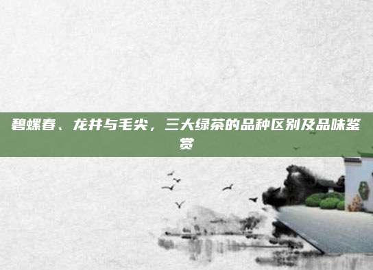 碧螺春、龙井与毛尖,三大绿茶的品种区别及品味鉴赏