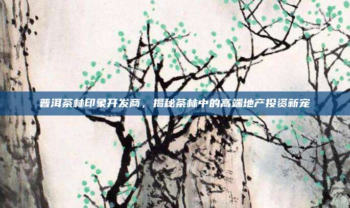 普洱茶林印象开发商，揭秘茶林中的高端地产投资新宠