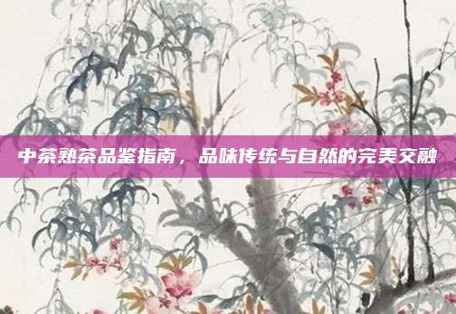中茶熟茶品鉴指南，品味传统与自然的完美交融