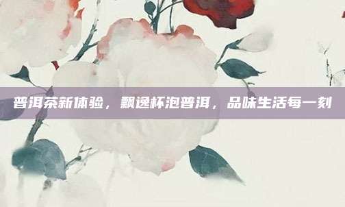 普洱茶新体验，飘逸杯泡普洱，品味生活每一刻