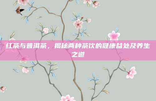 红茶与普洱茶，揭秘两种茶饮的健康益处及养生之道