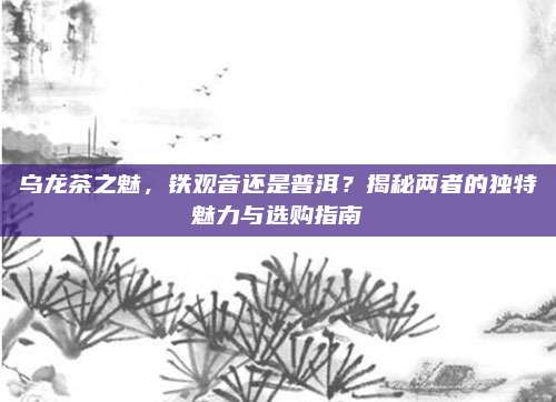 乌龙茶之魅，铁观音还是普洱？揭秘两者的独特魅力与选购指南