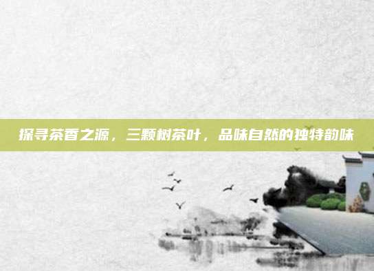 探寻茶香之源，三颗树茶叶，品味自然的独特韵味