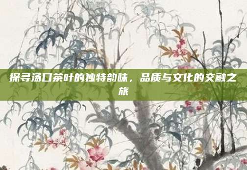 探寻汤口茶叶的独特韵味,品质与文化的交融之旅