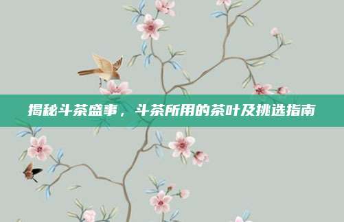 揭秘斗茶盛事，斗茶所用的茶叶及挑选指南