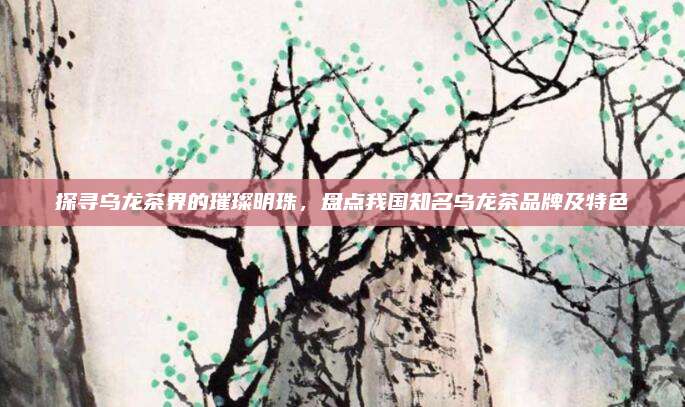 探寻乌龙茶界的璀璨明珠，盘点我国知名乌龙茶品牌及特色