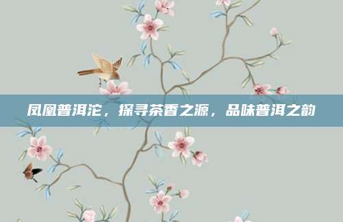 凤凰普洱沱，探寻茶香之源，品味普洱之韵