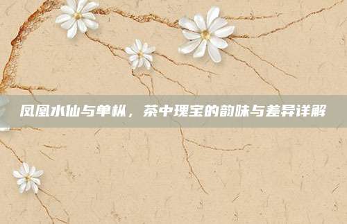 凤凰水仙与单枞，茶中瑰宝的韵味与差异详解